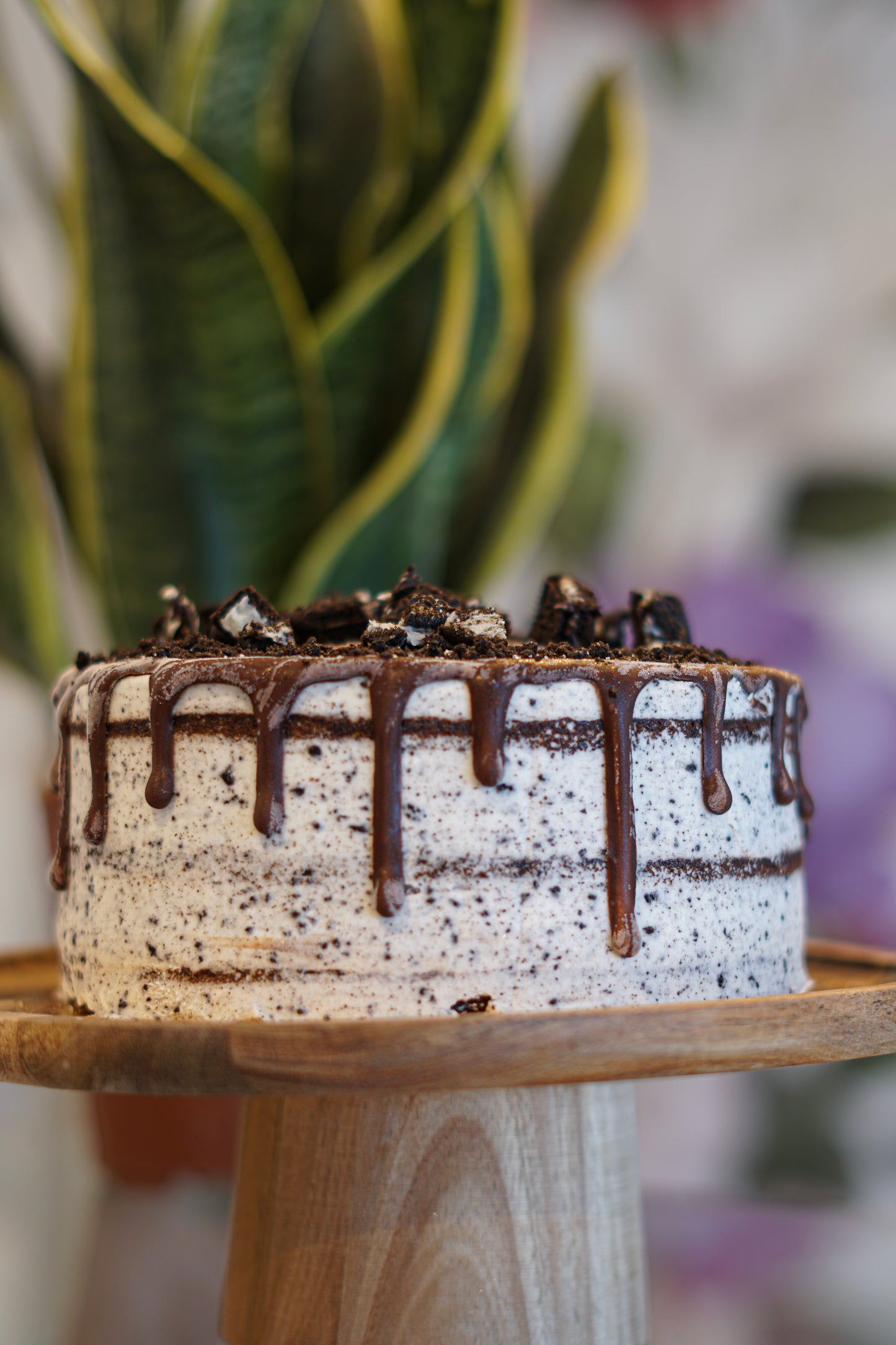 Pastel de Oreo